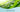 Unlocking the Secrets of Organic Aloe Vera: Your Ultimate Guide to Health and Beauty