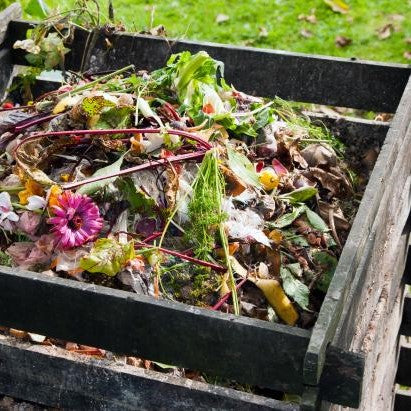 Why it is great to have your own Compost Bin