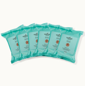 Face Wipes Bulk (6 Packs)