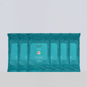 Face Wipes Bulk (6 Packs)