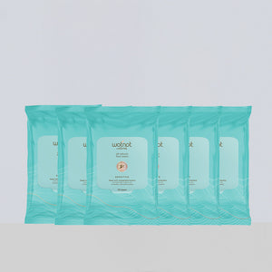 Face Wipes Bulk (6 Packs)